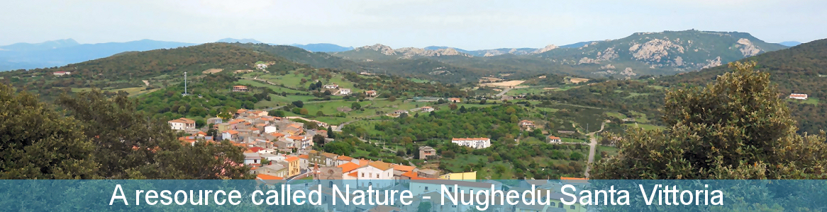 A resource called Nature - Nughedu Santa Vittoria