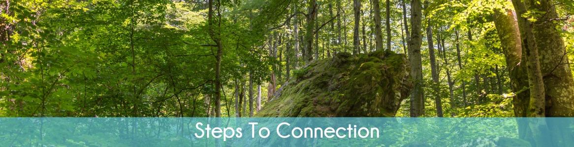 Steps To Connection
