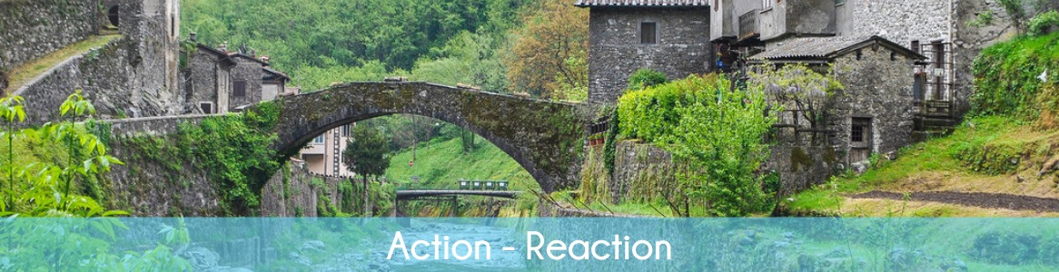 Action - Reaction