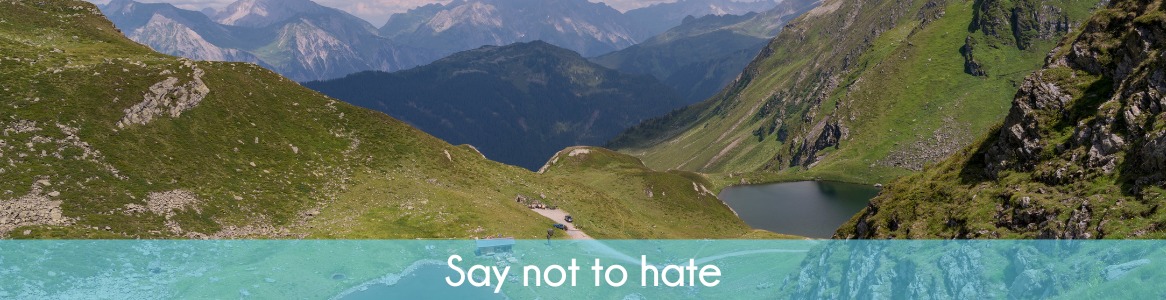 Say not to hate