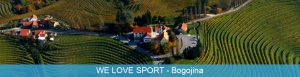 Mládežnícka výmena WE LOVE SPORT v Bogojina,Slovinsko