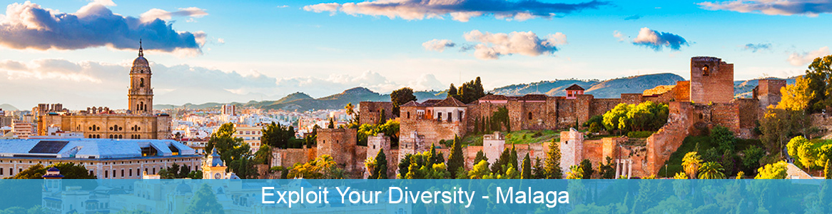 Exploit Your Diversity