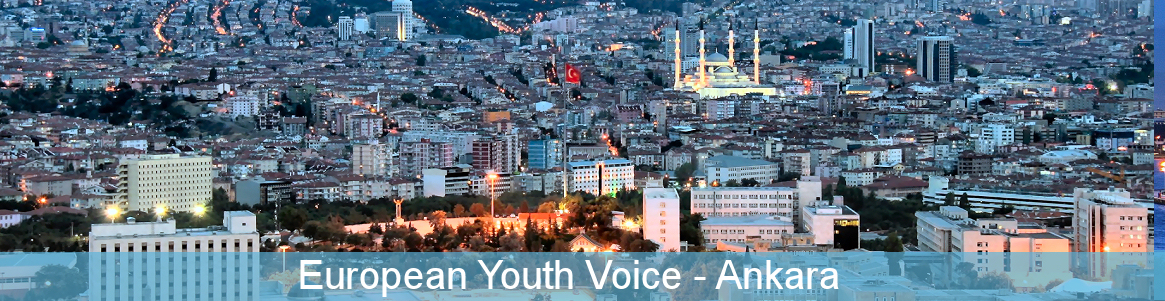 European Youth Voice