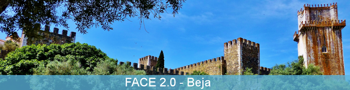 FACE 2.0 - Portugal