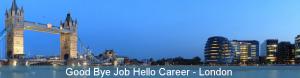 Good Bye Job Hello Career