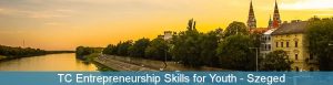 TC Entrepreneurship Skills for Youth