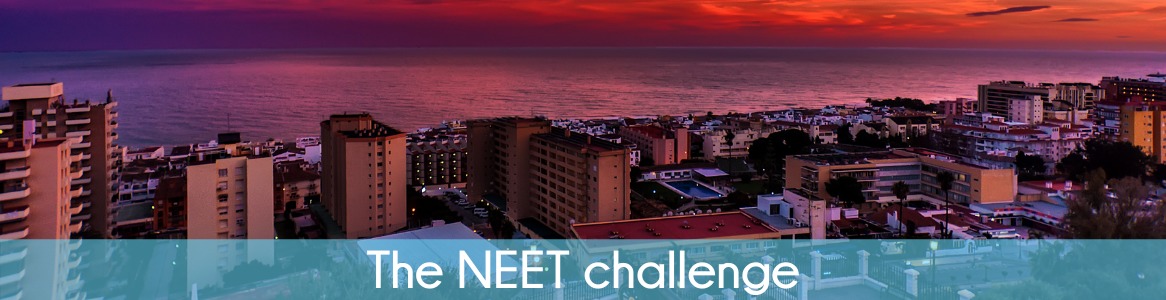 The NEET challenge