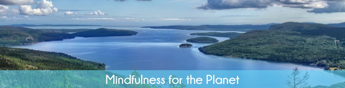 Mindfulness for the Planet