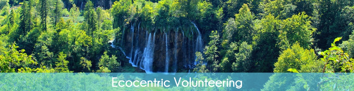 Ecocentric Volunteering