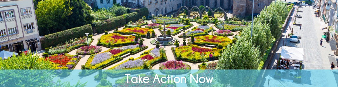Take Action Now