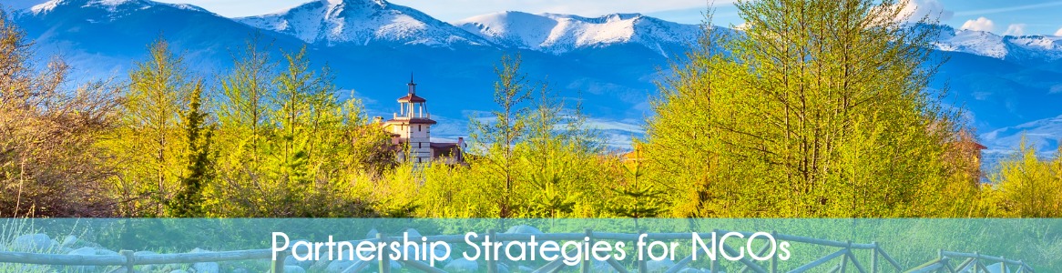 Partnership Strategies for NGOs